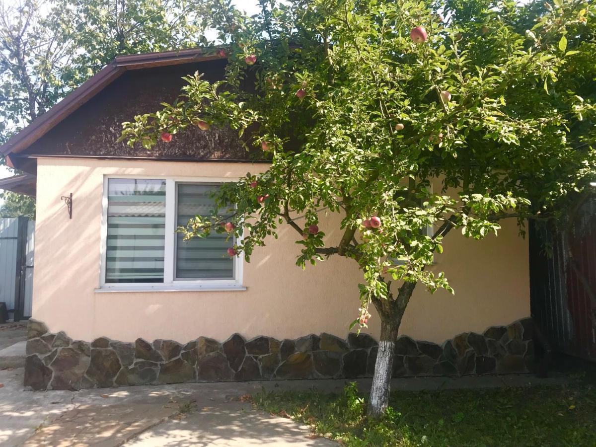 Apartments With Kitchen And Garden Kiev Exterior foto